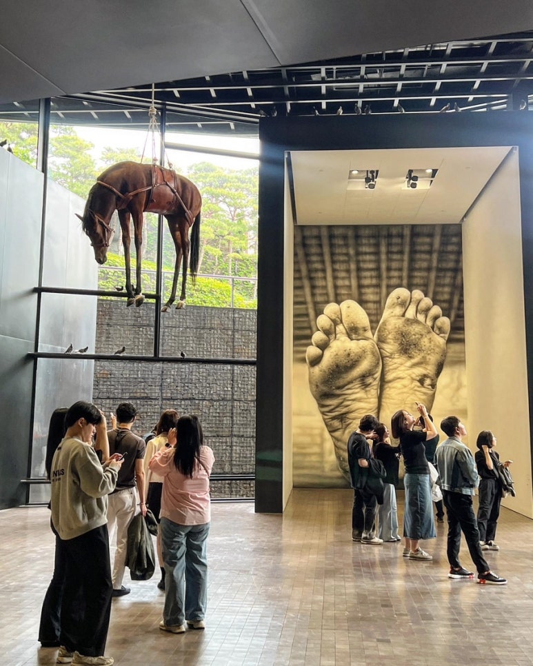 전진문화사 이미지