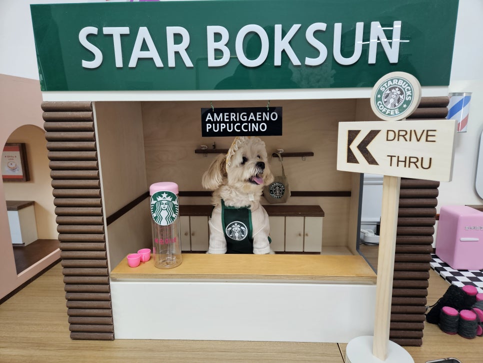 복순살롱 이미지