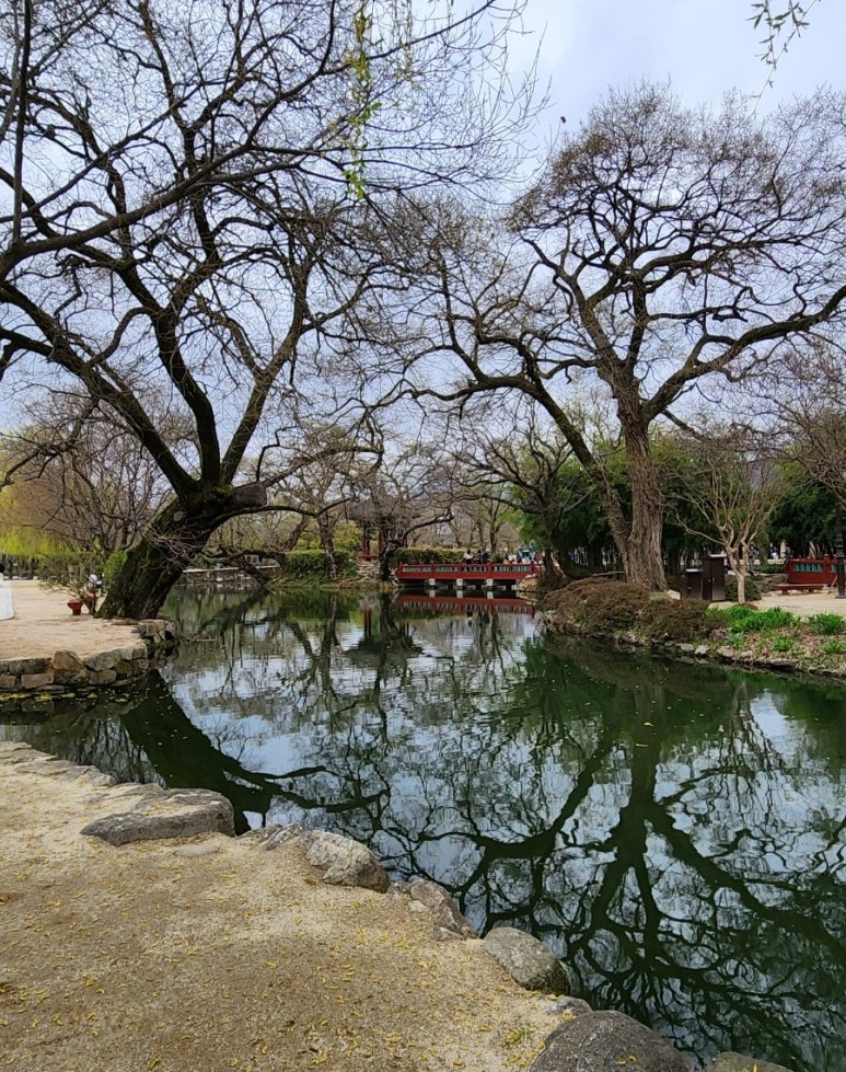 숲산식당 이미지
