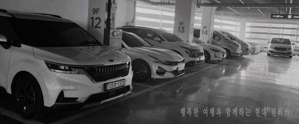 월트카써비스 이미지