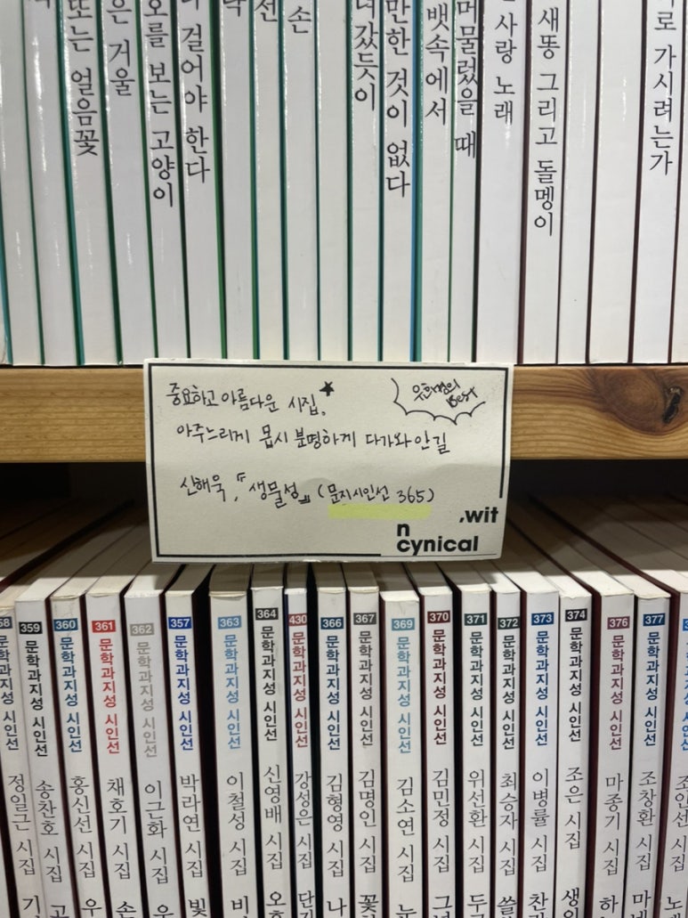 위트앤시니컬 이미지