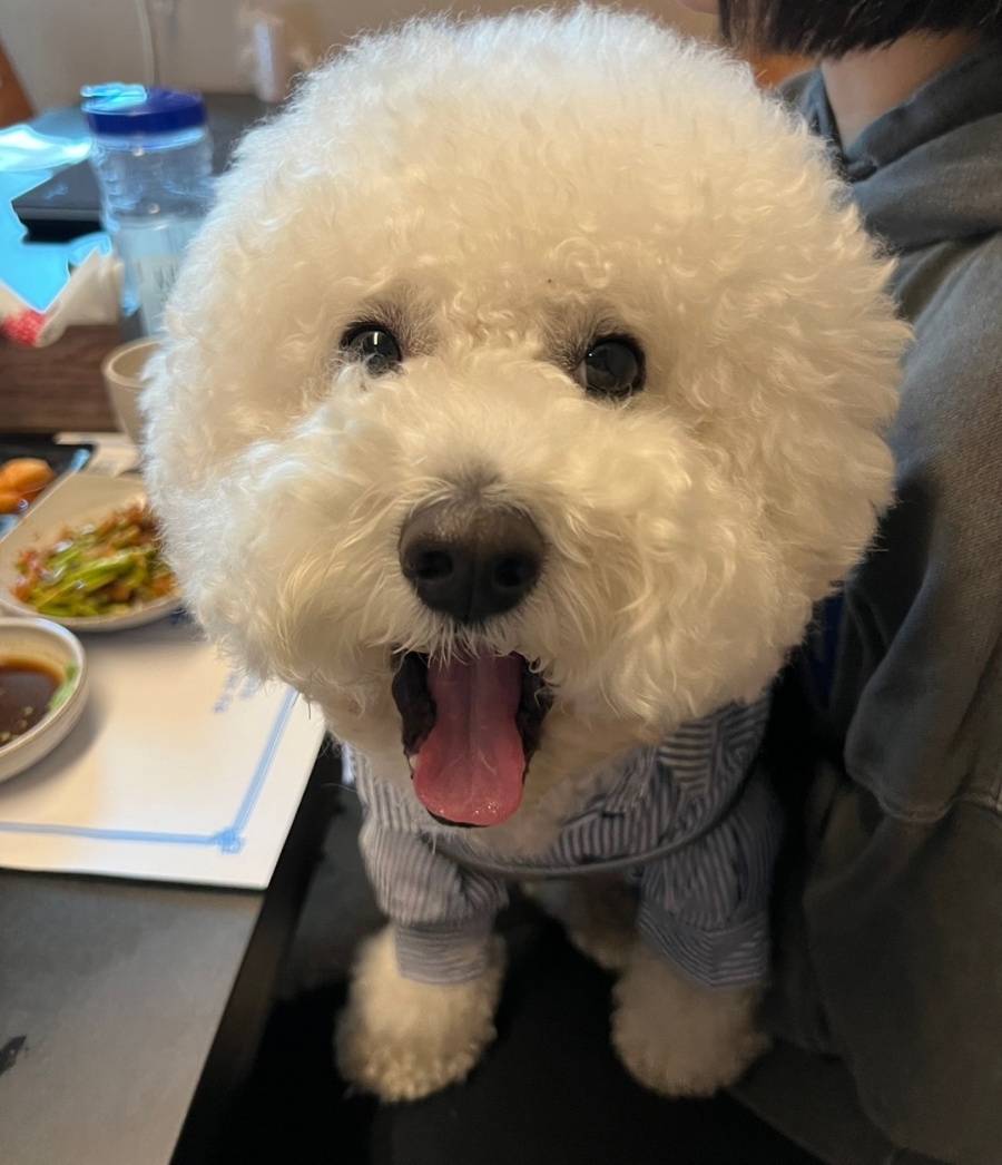 궁원복집 이미지