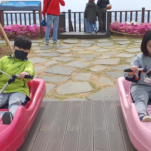 스카우트 그루터기 이미지