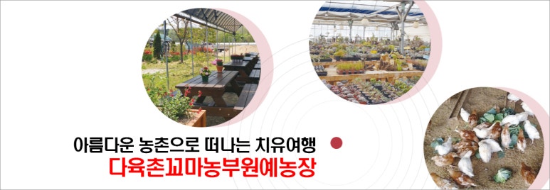 다육촌 이미지