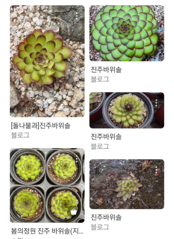 썬앤레인보우 이미지