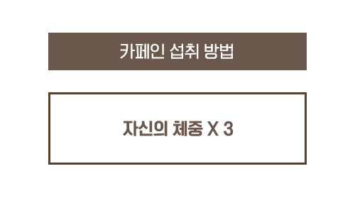 로하핏스튜디오 이미지