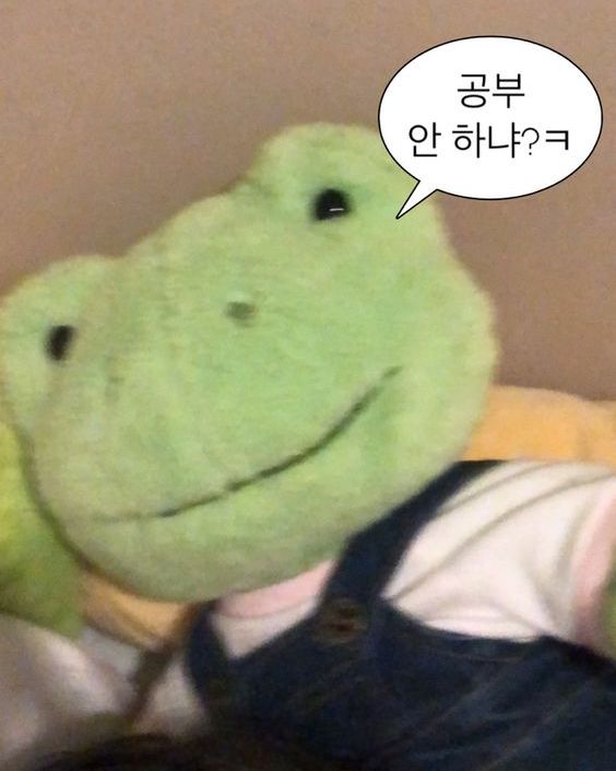 애니클래스 이미지