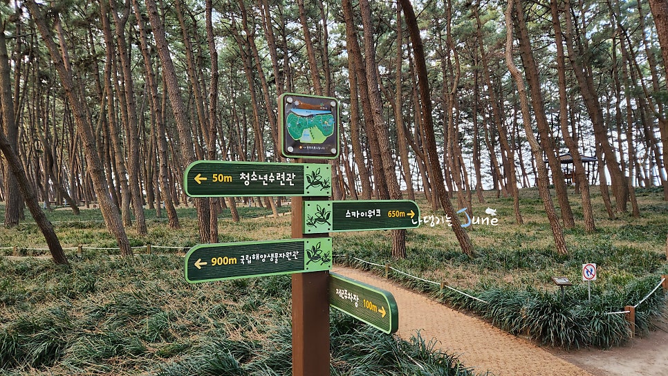 서천유스호스텔 이미지