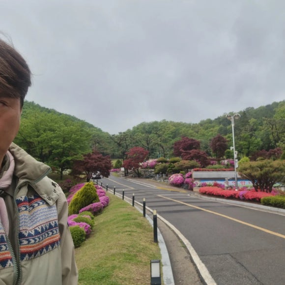 스카우트 그루터기 이미지