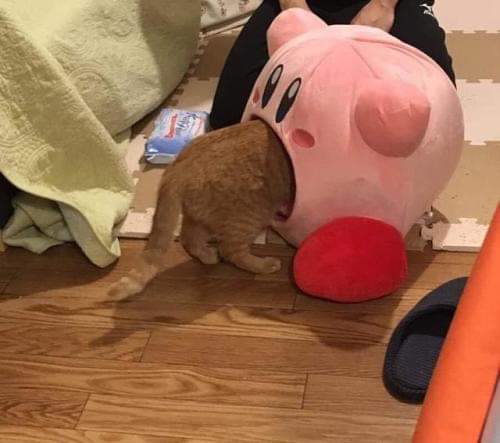 도리투어 이미지