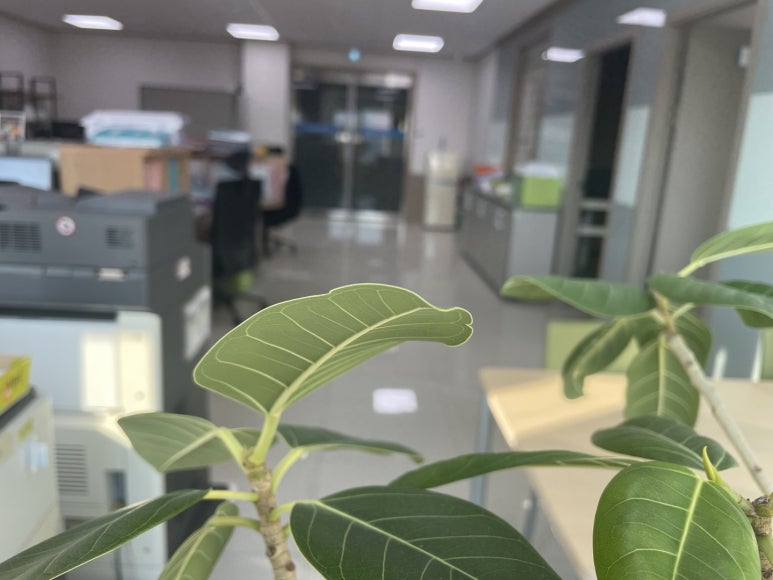 세무법인드림앤 이미지