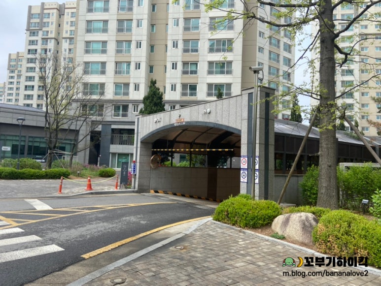 명랑닭갈비 이미지