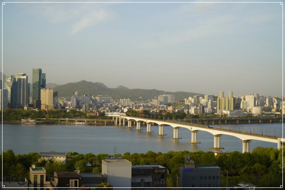 르포르테 이미지