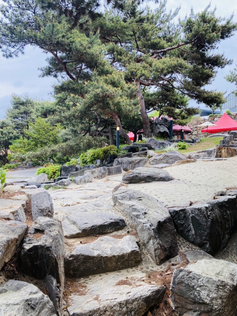 카르멜 인 포레스트 이미지
