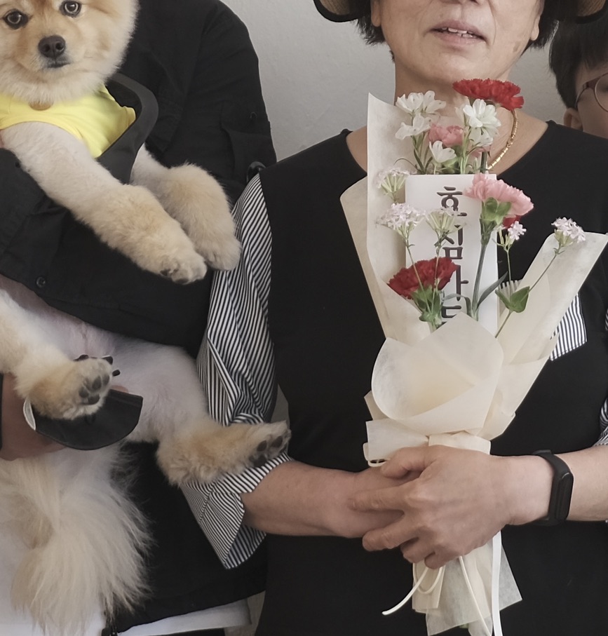 보로하 이미지