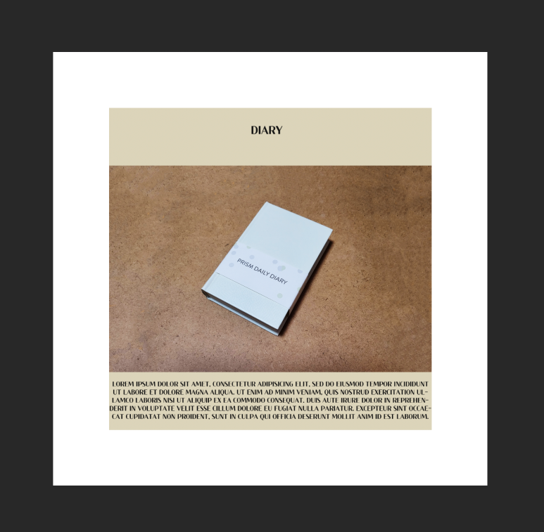 로렘디자인 이미지