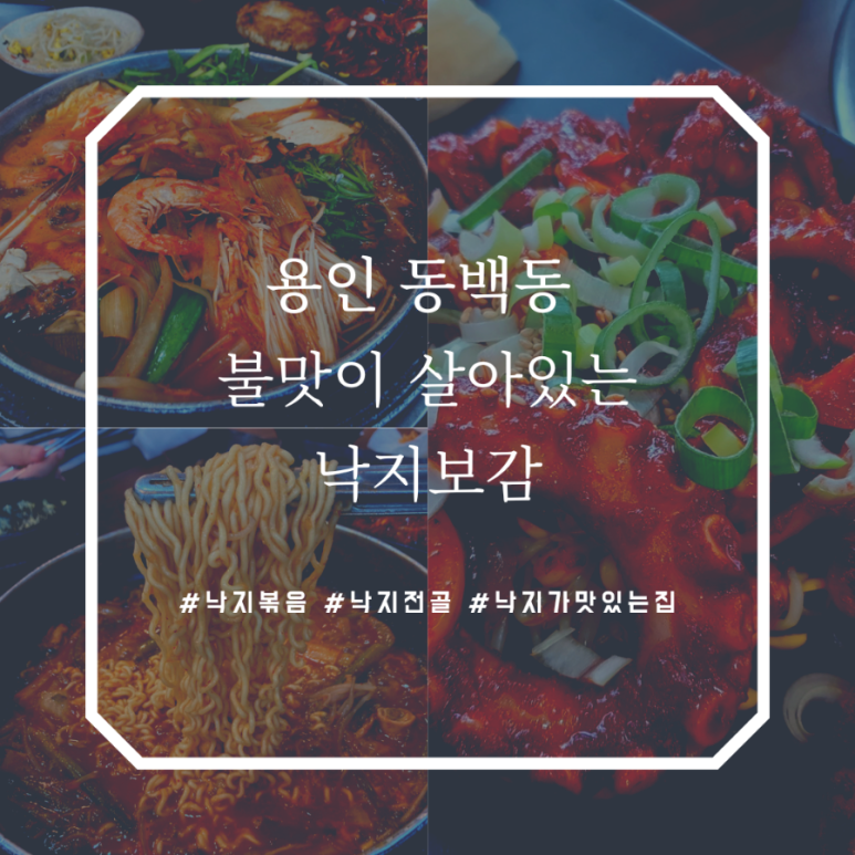 낙지보감 이미지