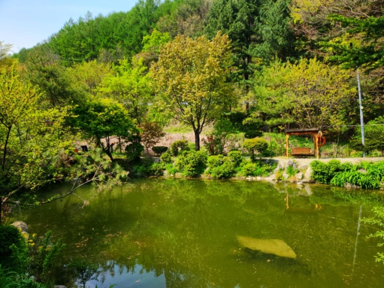 황학동캠핑장 이미지