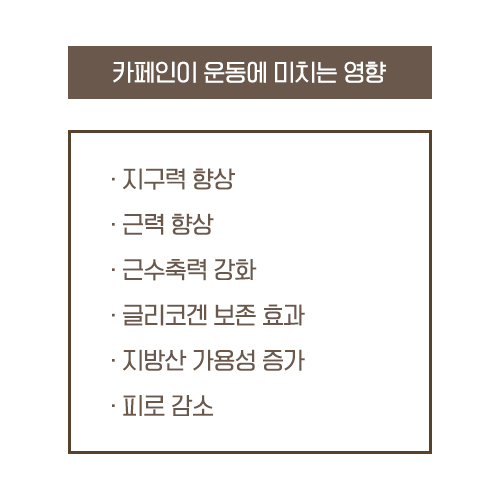 로하핏스튜디오 이미지