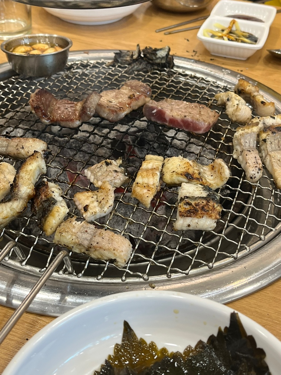 폭풍장어 이미지