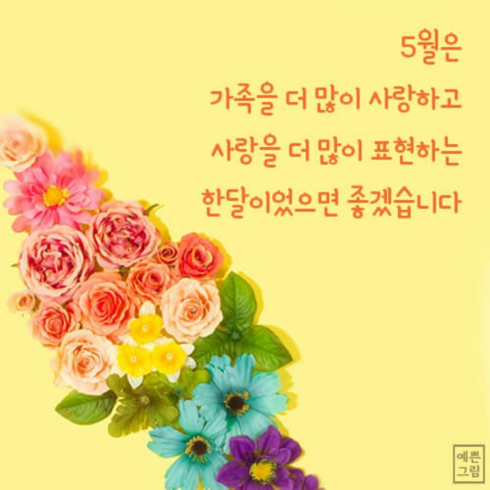 신나는점핑다이어트 이미지