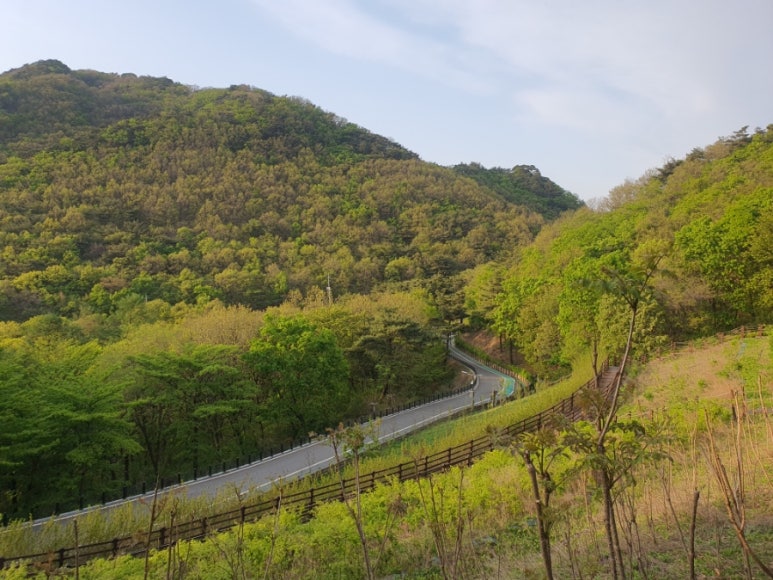 제천 치유의 숲 이미지