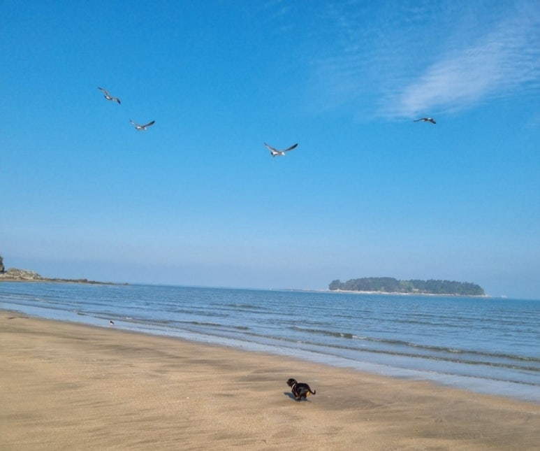 해변산책민박 이미지