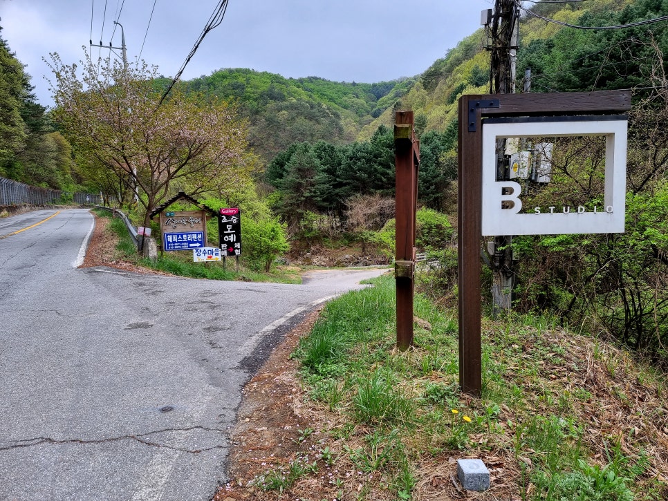 초승도예 이미지