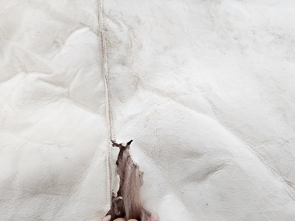 윤수선 이미지