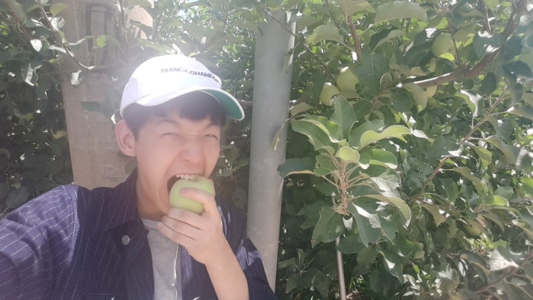 다온농장 이미지