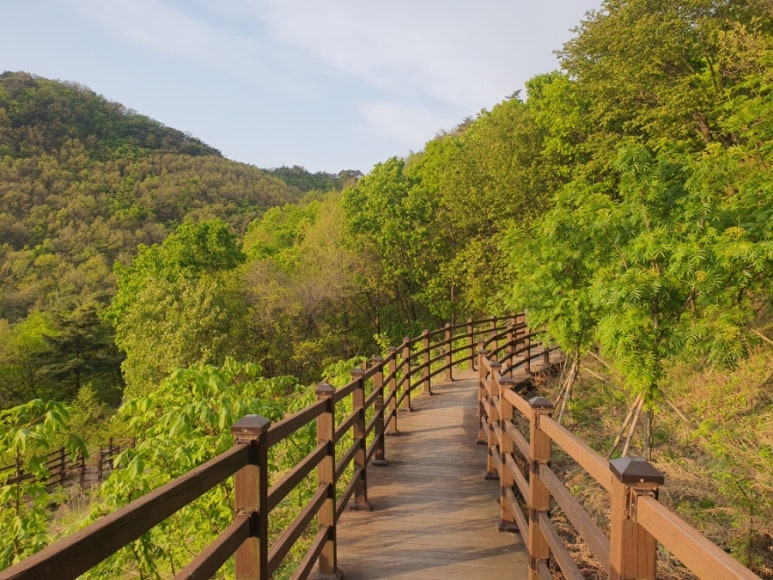 제천 치유의 숲 이미지