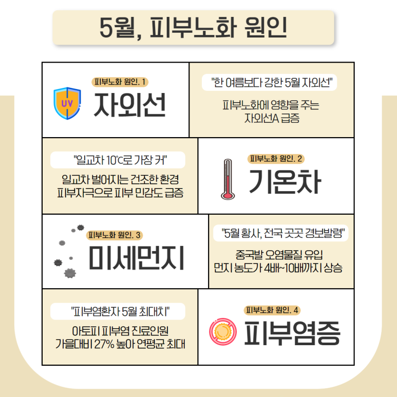 피부봄날 이미지