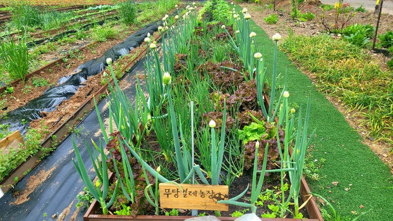 (유)O.K 이미지