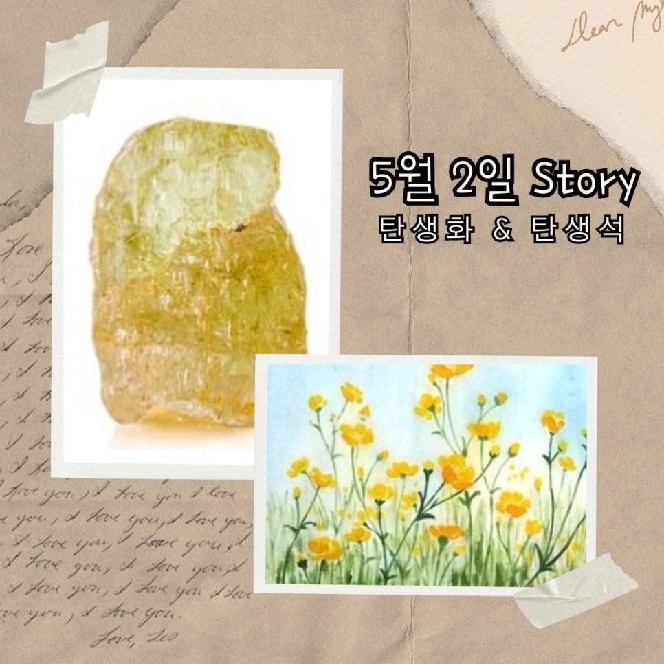 옐로우베릴 이미지