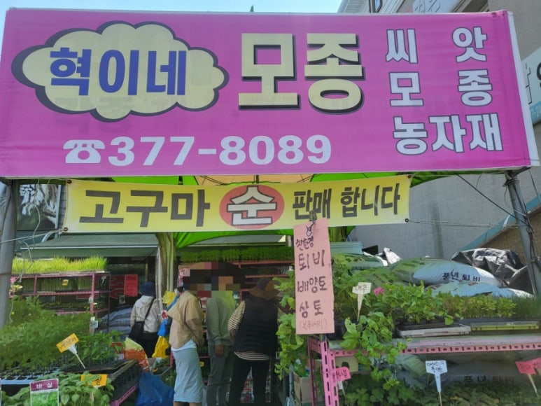 혁이네모종 이미지