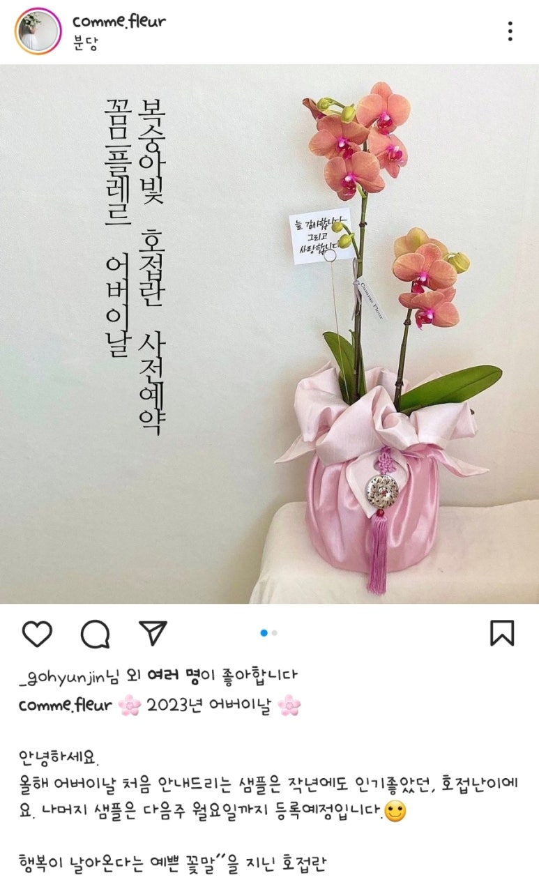 꼼므플레르 이미지