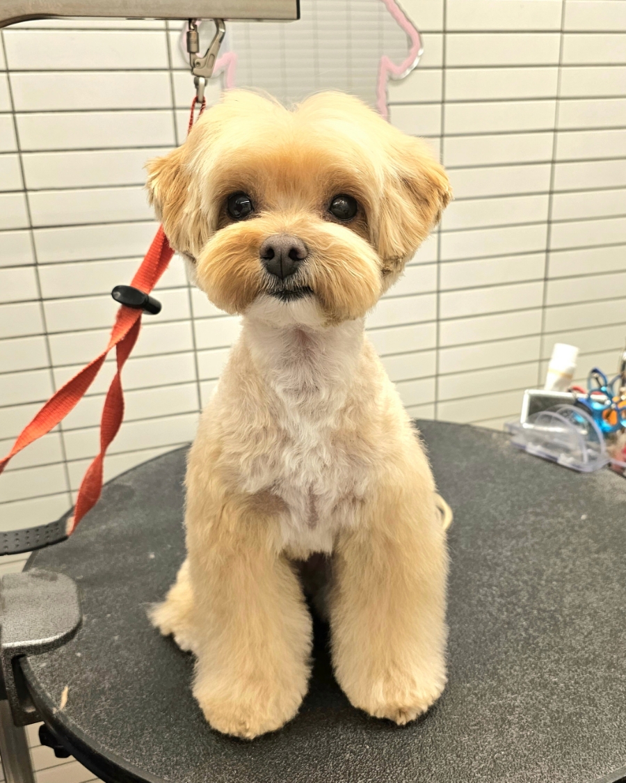양지미용실 이미지