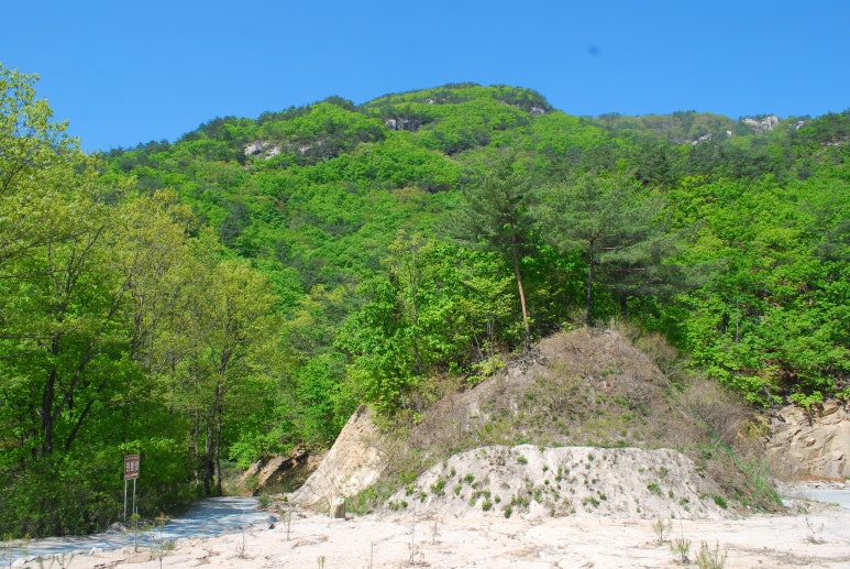 용화만물 이미지