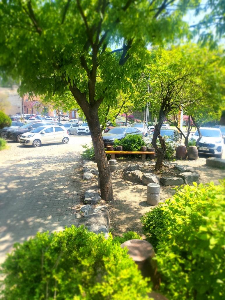 이종구낙지세상 이미지