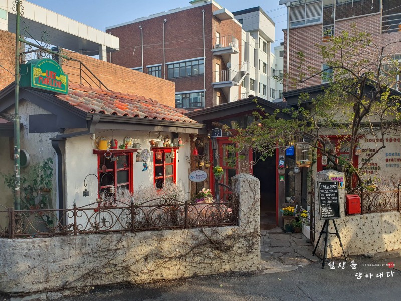 아담마를렌 이미지