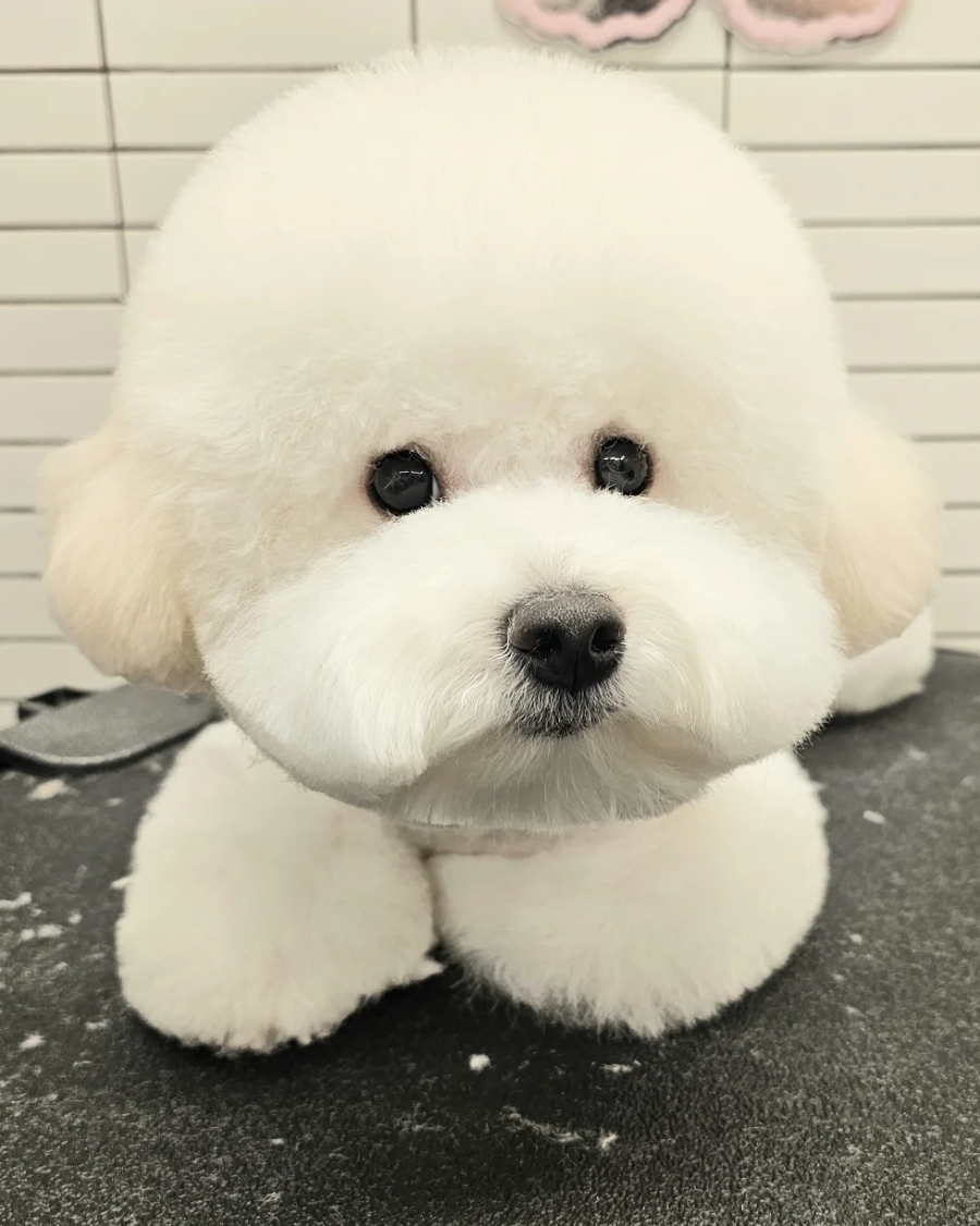 양지미용실 이미지