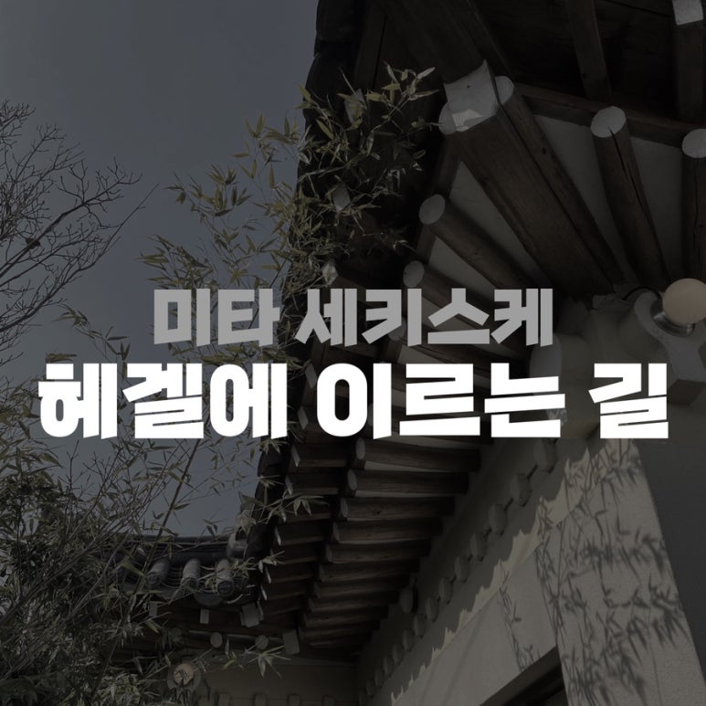 세미타 이미지