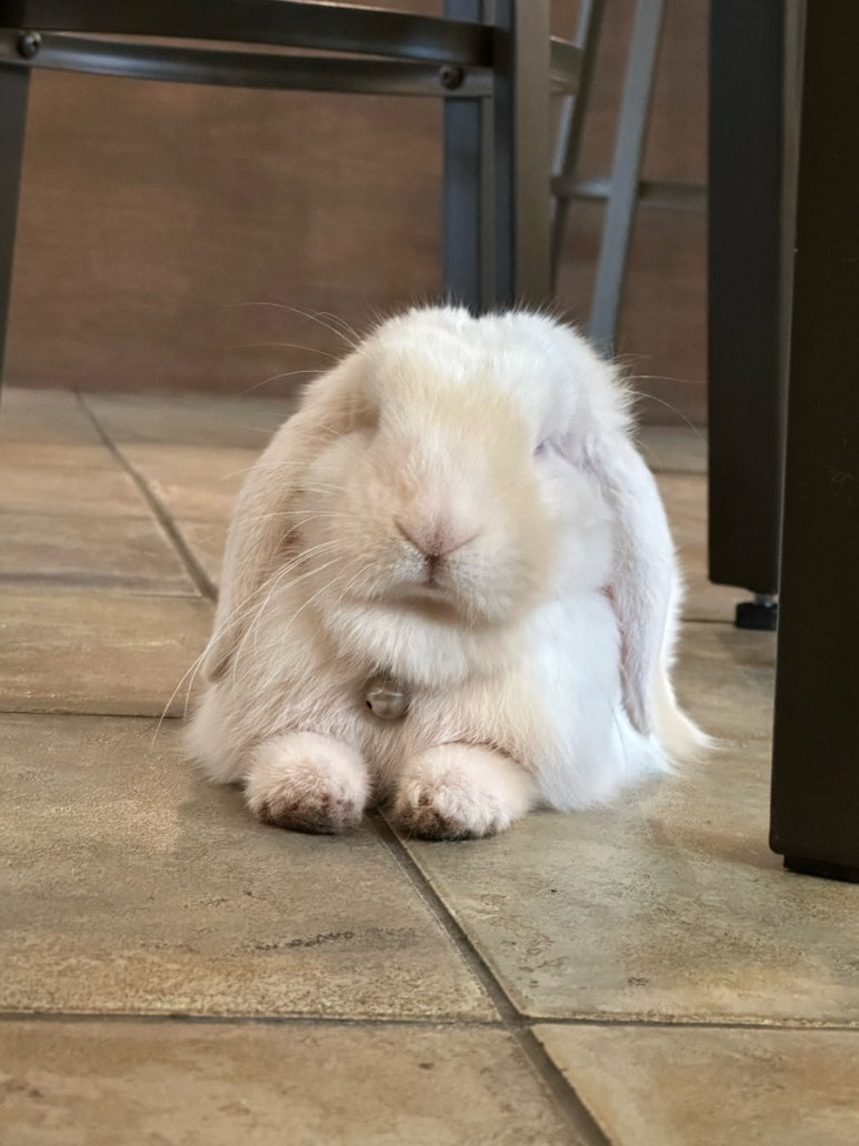 오디너리부산 이미지