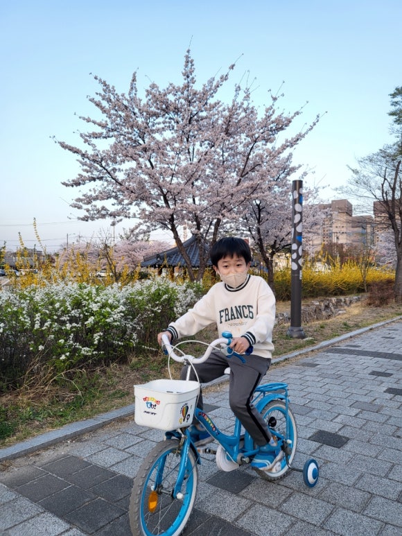개나리식자재마트 이미지