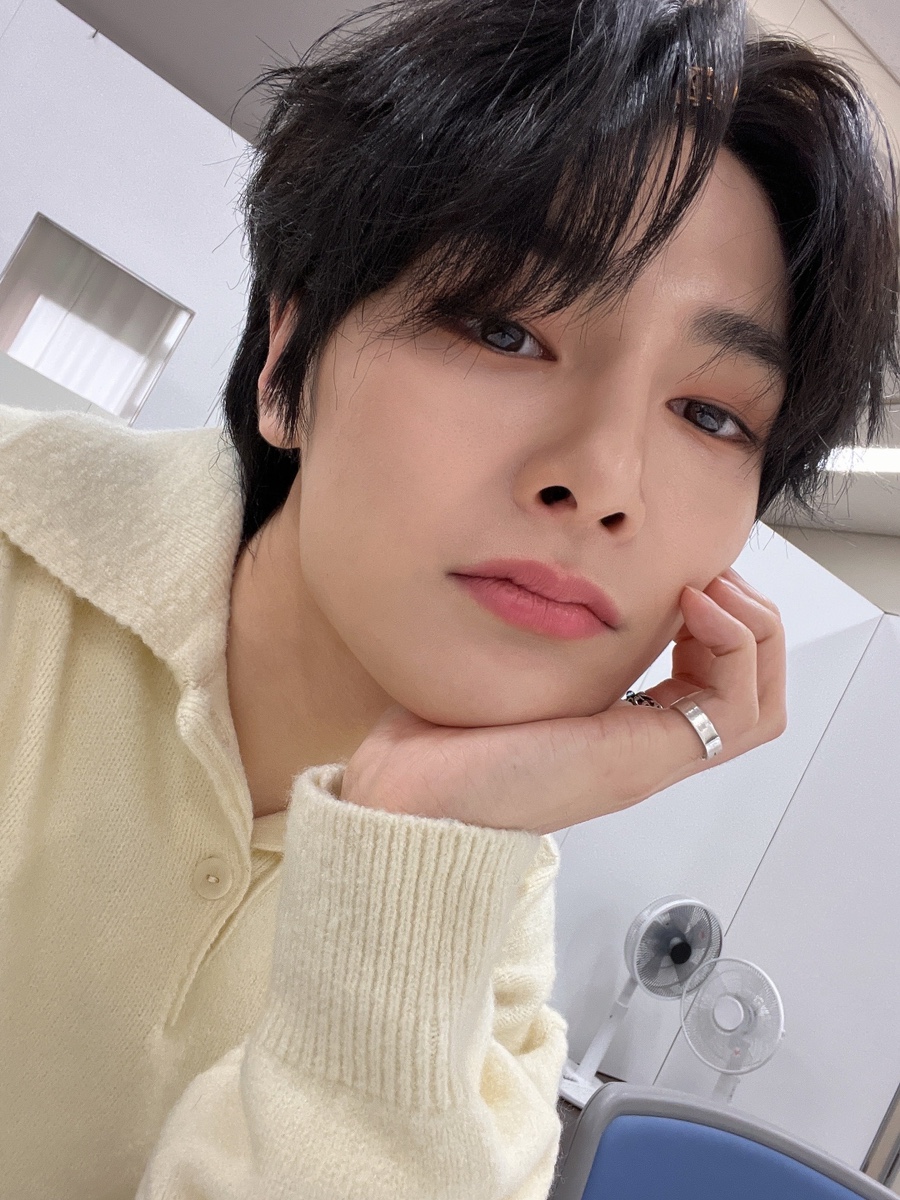 슬기정 이미지