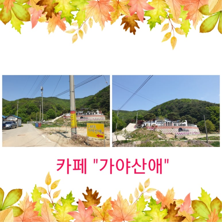 가야산애 이미지