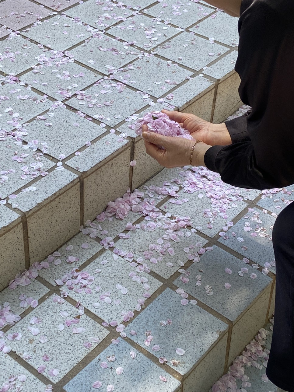 빙그레꽈배기 이미지