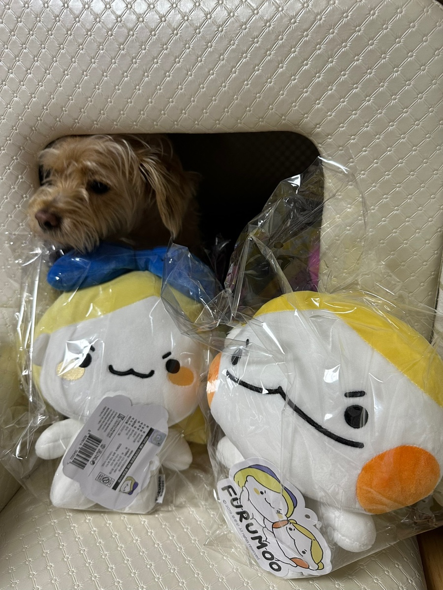 푸루무스튜디오 이미지