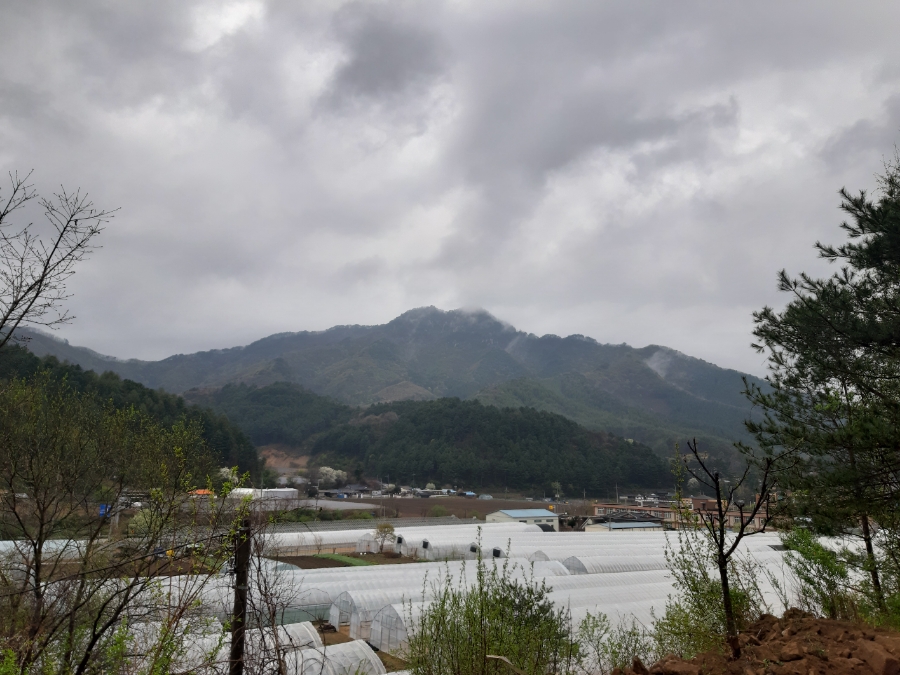 석화산농장 이미지