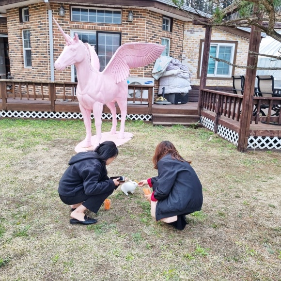 대관령주주파크 이미지